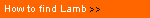 How to find LAMB